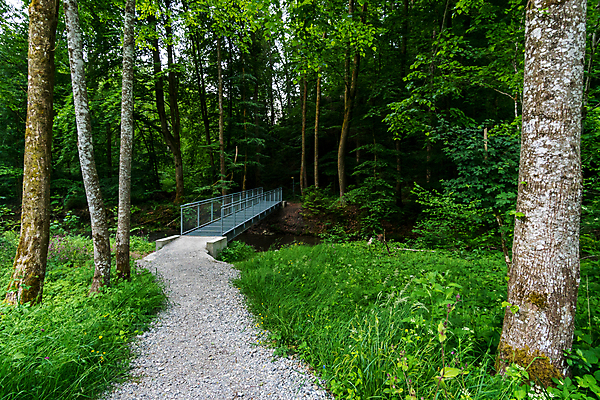 포토 JPG 해외이미지 호수 여행 잎 자연 휴가 휴식 사람없음 야외 물 여름 환경 골짜기 맑음 폭포 하이킹 흐름 에너지 가을 조약돌 바위 물방울 시골 개울 보호 편안함 시원함 분무기 평형 바이에른 해외포토 자연요소 식물 계절 컨셉 레저 날씨 독일 강 수영 돌_바위 감각 생태계 파일형식 이미지허브