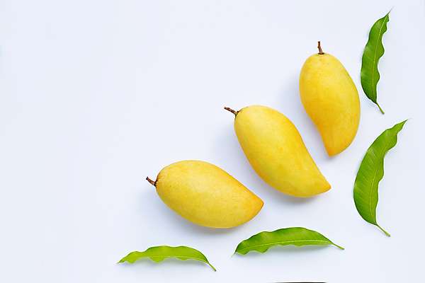 포토 JPG 해외이미지 잎 실내 사람없음 세개 열대과일 흰배경 망고 카피스페이스 해외포토 식물 백그라운드 과일 3 내부 공백 흰색 파일형식 이미지허브