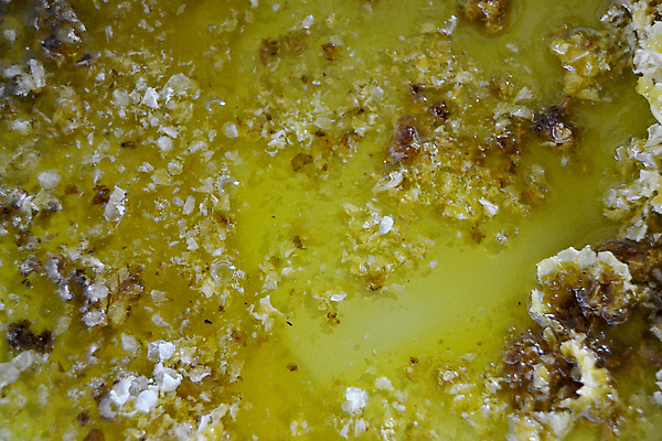 포토 JPG 해외이미지 음식 곤충 세포 건강 사탕 사람없음 약 노란색 흐름 머리빗 액체 황금 달콤 맛 떨어짐 꿀벌 날것 꽃가루 부드러움 육각형 꿀 고무 벌집 내추럴 밀랍 양봉 양봉장 어려움 왁스 폴리곤 정확 해외포토 도형 동물 컬러 컨셉 의학 디저트 미용용품 감각 벌_곤충 가루 파일형식 이미지허브