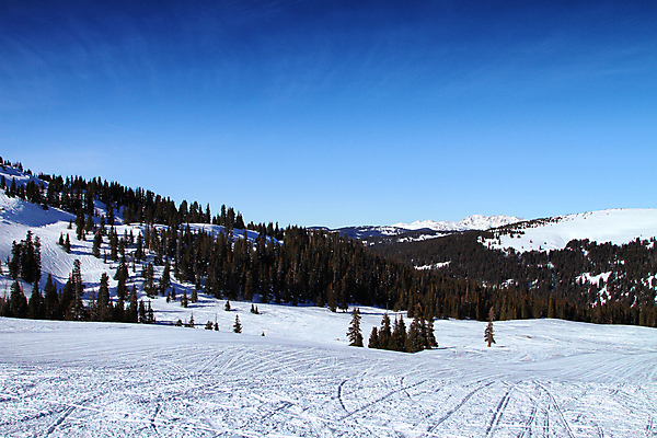 포토 JPG 해외이미지 나무 계절 여행 겨울 자연 하늘 휴가 스키 산 풍경 경사 사람없음 야외 파란색 평화 맑음 얼음 추위 흰색 소나무 숲 언덕 서리 트랙 내추럴 콜로라도 로키산맥 해외포토 자연요소 식물 컬러 컨셉 날씨 겨울스포츠 미국 생태계 파일형식 이미지허브