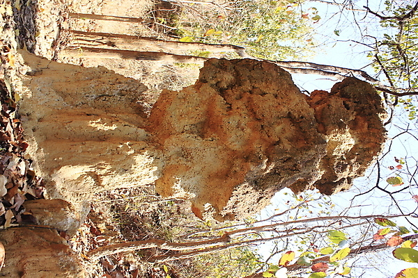 포토 JPG 해외이미지 나무 공원 아시아 모래 여행 백그라운드 패턴 태국 자연 하늘 추상 산 건조 풍경 사람없음 야외 초록색 물 여름 파란색 갈색 환경 골짜기 흙 바위 기둥 숲 부식 질감 장면 점토 가뭄 사암 내추럴 땅바닥 옛날 전국 해외포토 자연요소 식물 계절 공공시설 건축 나라 컬러 무늬 날씨 바닥 돌_바위 생태계 파일형식 이미지허브