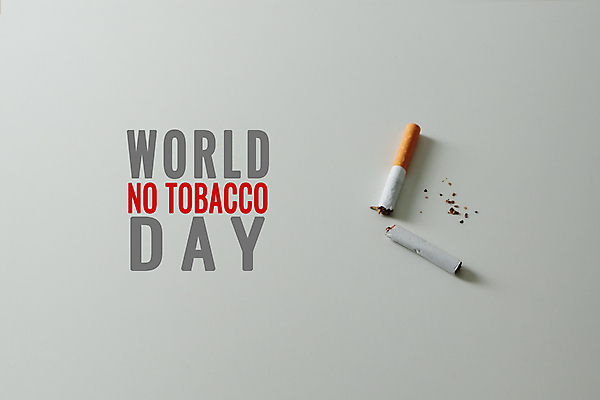 포토 JPG 해외이미지 스튜디오촬영 타이포그라피 사람없음 공익캠페인 자르기 금연 담배꽁초 금연데이 끊어짐 해외포토 문자 기념일 캠페인 모션 담배 실내 사회이슈 파일형식 이미지허브