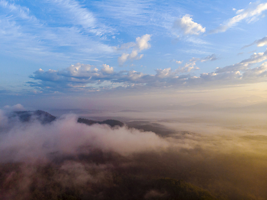 포토 JPG 해외이미지 식물 구름 계절 꽃 실루엣 분홍색 밭 자연 하늘 아침 추상 따뜻함 풍경 사람없음 목재 빨간색 초록색 파란색 빛 컬러풀 햇빛 태양 노란색 우주 일출 계곡 맑음 새벽 안개 광선 시골 신선 분위기 황금 이슬 언덕 속도 침엽수 뿌연 해외포토 주간 자연요소 나무 컬러 컨셉 무늬 농업 재료 날씨 촬영기법 노을 생태계 파일형식 이미지허브