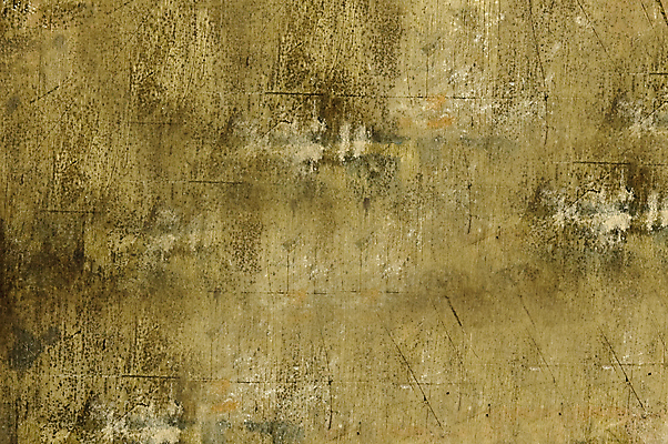 포토 JPG 해외이미지 식물 디자인 선 벽 백그라운드 패턴 표면 건조 이끼 사람없음 목재 갈색 환경 손상 수확 골동품 시골 시간 판넬 거친 역사 균열 보호 숲 낟알 부식 질감 복고 잡동사니 내추럴 외양간 구식 썩음 옛날 노화 디테일 해외포토 나무 컬러 컨셉 무늬 농업 재료 모션 파일형식 이미지허브