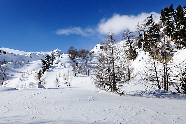 포토 JPG 해외이미지 계절 공원 유럽 길 여행 가이드 자연 휴가 산 파노라마 풍경 사람없음 야외 초록색 파란색 강 환경 냉동 얼음 하이킹 추위 정상 스위스 빙하 알프스 장면 북쪽 멀리 설피 해외포토 자연요소 직업 공공시설 나라 컬러 레저 촬영기법 방향 생태계 파일형식 이미지허브