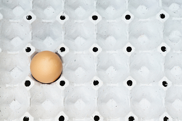 포토 JPG 해외이미지 1 음식 재료 포장 자연 쟁반 건강 사람없음 갈색 계란 치킨 신선 시장 정상 컨테이너 싱글 유기농 날것 패키지 짐싸기 내추럴 판지 해외포토 웰빙 산업 컬러 알 생태계 닭고기요리 파일형식 이미지허브