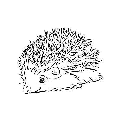 포토 JPG 해외이미지 동물 손 디자인 실루엣 야생동물 백그라운드 일러스트 포유류 자연 추상 흑백 동물원 미술 사람없음 야외 그래픽 반려동물 장난감 연필 펜 검은색 흰색 거친 가시 우아함 낙서 숲 작음 만화 스케치 그림 날카로움 윤곽 판화 주둥이 스파이크 찌르기 고슴도치 고립 진짜 스타일 현실 해외일러스트 컬러 컨셉 무늬 모션 문화예술 학용품 촬영기법 신체부위 필기구 크기 생태계 파일형식 이미지허브