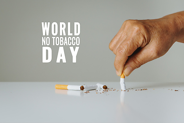 포토 JPG 해외이미지 스튜디오촬영 손 타이포그라피 신체부위 잡기 공익캠페인 누름 금연 담배꽁초 금연데이 해외포토 문자 기념일 캠페인 모션 담배 실내 사람 사회이슈 파일형식 이미지허브