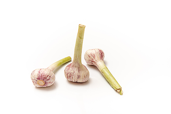 포토 JPG 해외이미지 식물 1 음식 줄기 백그라운드 잎 채소 재료 전구 자연 건강 마늘 사람없음 초록색 새싹 봄 흰색 신선 양념 조미료 그룹 맛 먹기 향신료 오브젝트 유기농 매움 날것 아로마 뿌리 향 내추럴 고립 숙성 채식주의자 해외포토 웰빙 계절 컬러 컨셉 모션 생태계 채식 향미료 파일형식 이미지허브