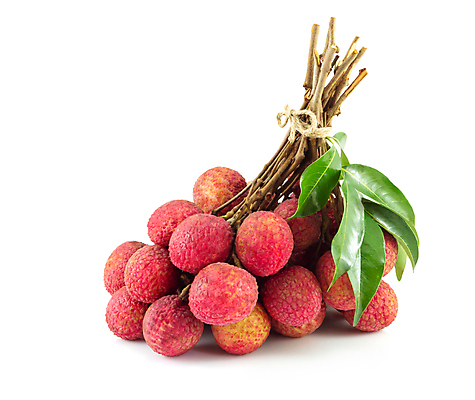 포토 JPG 해외이미지 음식 분홍색 백그라운드 잎 과일 건강 동양인 사람없음 빨간색 흰색 신선 그룹 달콤 유기농 고립 채식주의자 해외포토 식물 웰빙 컬러 인종 맛 채식 파일형식 이미지허브