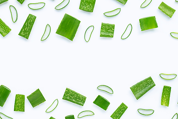 포토 JPG 해외이미지 스튜디오촬영 단면 실내 사람없음 하이앵글 흰배경 알로에 해외포토 식물 뷰포인트 백그라운드 내부 흰색 파일형식 이미지허브