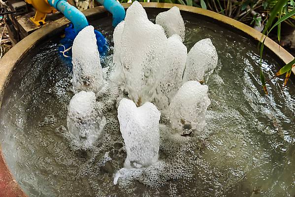 포토 JPG 해외이미지 식물 전통 디자인 파도 여행 백그라운드 비즈니스 건축양식 자연 추상 주택 아이디어 미술 사람없음 야외 장식 초록색 물 파란색 정원 젖음 흐름 추위 골동품 흰색 연못 도시 원형 은색 수증기 작음 묘사 속도 분수 분무기 점토 뒤뜰 스타일 해외포토 자연요소 도형 건축 바다 컬러 컨셉 무늬 문화예술 건물 크기 생태계 파일형식 이미지허브