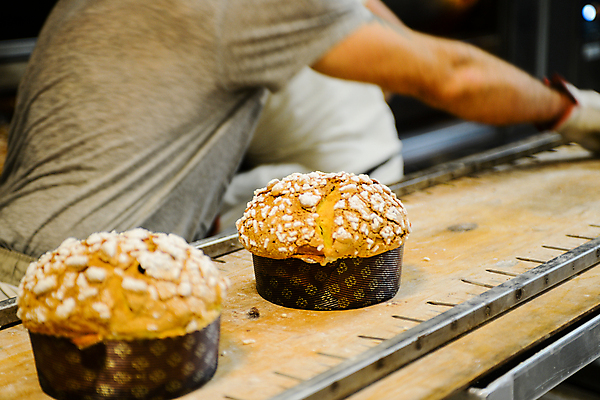 포토 JPG 해외이미지 직업 전통 계절 문화 음식 빵 크리스마스 겨울 휴가 디저트 요리 사람없음 장식 케이크 주방 축제 어둠 이탈리아 빵집 껍질 흰색 축하 신선 이탈리아음식 오븐 달콤 맛 12월 가루 굽기 반죽 건포도 밀라노 페스츄리 해외포토 기념일 유럽 컬러 컨셉 포도 서양음식 상점 가전제품 날짜 구이 건과일 파일형식 이미지허브