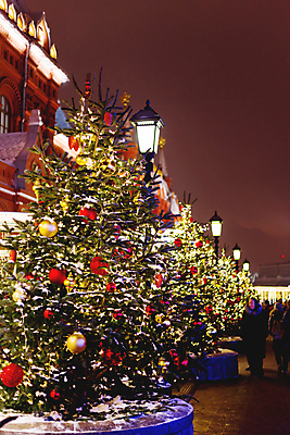 포토 JPG 해외이미지 크리스마스 겨울 가로등 밤하늘 거리 풍경 사람없음 야외 건물 빛 크리스마스트리 마을 군중 야간 오너먼트 해외포토 자연요소 건축물 계절 공공시설 기념일 크리스마스장식 하늘 사람 파일형식 이미지허브