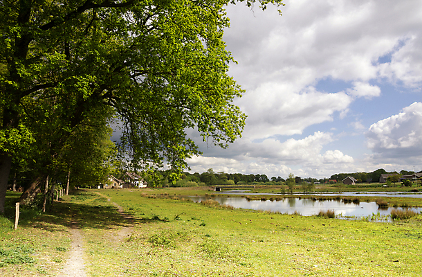포토 JPG 해외이미지 나무 구름 길 자연 풍경 사람없음 물 강 개울 숲 네덜란드 경영 해외포토 자연요소 식물 유럽 비즈니스 생태계 파일형식 이미지허브