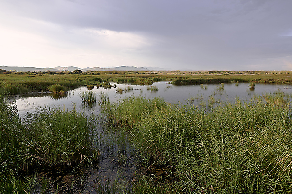 포토 JPG 해외이미지 식물 구름 여행 무지개 채소 자연 아침 휴가 갈대 풍경 사람없음 가로 세로 초록색 물 여름 파란색 빛 농작물 강 태양 농장 농경지 일출 침묵 일몰 꿈 가을 시골 업무 농부 저녁 번개 낟알 시리얼 신성 천국 모리셔스 밭일 심기 사탕수수 해외포토 주간 자연요소 직업 계절 음식 컬러 농업 모션 날씨 노을 소리 작업 야간 생태계 파일형식 이미지허브