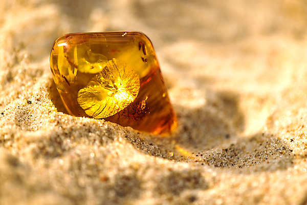 포토 JPG 해외이미지 자연 사람없음 빛 주황색 투명 보석 화석 앰버 해외포토 컬러 광석 생태계 파일형식 이미지허브