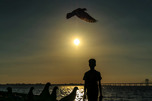 포토 JPG 해외이미지 행복 실루엣 아들 어린이 바다 백그라운드 오렌지 자연 벽지 조류 하늘 사랑 사람 풍경 소년 사람없음 야외 물 빛 햇빛 태양 일출 일몰 기쁨 축복 저녁 깃털 비둘기 엽서 신성 해외포토 자연요소 동물 남자 감정 컨셉 과일 가족 촬영기법 노을 야간 편지 생태계 파일형식 이미지허브