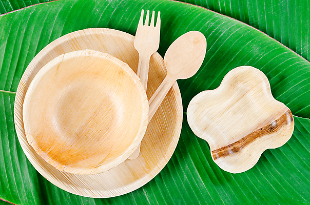 포토 JPG 해외이미지 잎 실내 사람없음 자연보호 에코 친환경 에코라이프 나무숟가락 나무그릇 나무접시 나무포크 친환경제품 제로웨이스트 해외포토 식물 라이프스타일 그릇 접시 포크 자연 내부 목재 환경 숟가락 그린캠페인 보호 사회이슈 파일형식 이미지허브