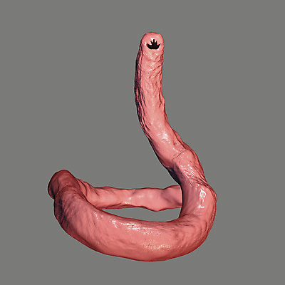 포토 JPG 해외이미지 동물 과학 일러스트 자연 건강 현미경 사람없음 약 머리 3D 고리 개 치아 벌레 질병 작음 생물학 감염 미생물 기생충 고립 해외일러스트 교육 곤충 포유류 의학 생물 실험기구 신체부위 소화기관 바이러스 크기 디지털합성 생태계 파일형식 이미지허브