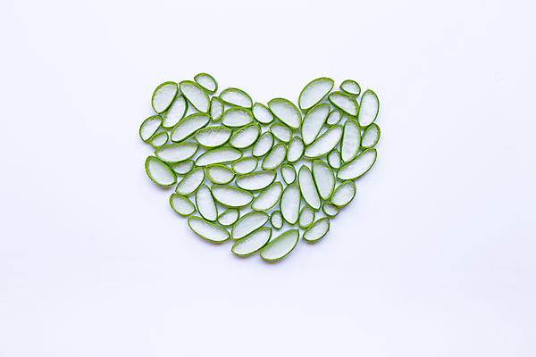 포토 JPG 해외이미지 스튜디오촬영 실내 사람없음 흰배경 알로에 해외포토 식물 백그라운드 내부 흰색 파일형식 이미지허브