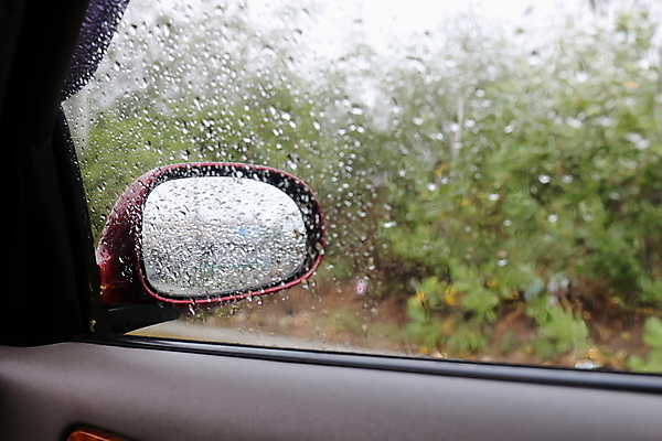 포토 JPG 해외이미지 주간 창문 실내 풍경 사람없음 풀 비 빗방울 차안 사이드미러 자동차내부 해외포토 자연요소 식물 날씨 내부 비_날씨 파일형식 이미지허브