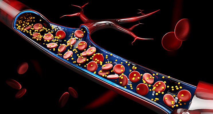 포토 JPG 해외이미지 세포 사람없음 3D 혈관 적혈구 혈구 칼슘 해외포토 장기_의학 디지털합성 파일형식 이미지허브