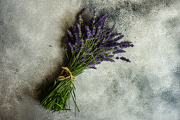 포토 JPG 해외이미지 꽃 꽃다발 실내 사람없음 다발 라벤더 해외포토 식물 내부 허브 파일형식 이미지허브