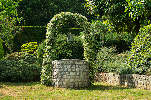 포토 JPG 해외이미지 나무 식물 전통 꽃 백그라운드 컨셉 잎 자연 잔디 사람없음 야외 초록색 물 마을 환경 정원 맑음 봄 수확 성장 바위 시골 액체 계획 갈증 양동이 원예 조경 장면 펌프 뒤뜰 세련 해외포토 자연요소 계절 컬러 농업 날씨 취미 돌_바위 생태계 파일형식 이미지허브