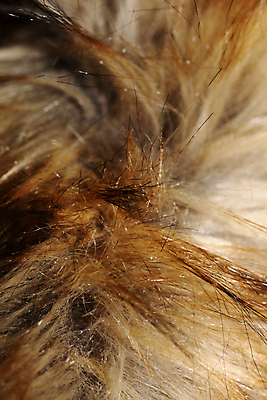 포토 JPG 해외이미지 헤어스타일 여자 갈색머리 건강 종류 사람없음 빨간색 빛 세트 컬러풀 금발 갈색 노란색 유행 상점 검은색 어둠 팔레트 황금 고급 매끈함 질감 잠금 염색 공평 내추럴 돌봄 스타일 강조 해외포토 컬러 컨셉 모션 사람 감각 보안 파일형식 이미지허브