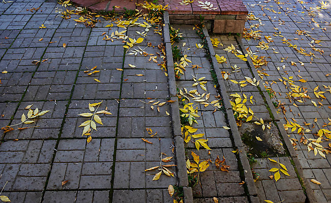 포토 JPG 해외이미지 식물 외관 여행 백그라운드 건축양식 부동산 휴가 벽돌 새로움 거리 아파트 주택 풍경 사람없음 야외 건물 장식 도시풍경 여행객 문 계단 마을 할로윈 수확 가을 도시 역사 재산 연립주택 이웃 단계 옛날 줄서기 해외포토 건축물 계절 건축 컨셉 농업 모션 사람 금융 파일형식 이미지허브