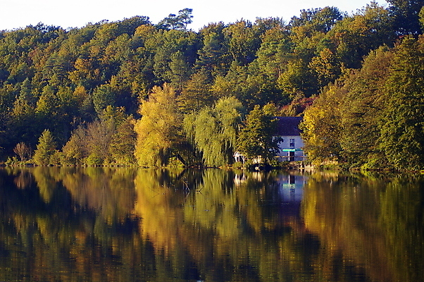 포토 JPG 해외이미지 나무 계절 유럽 여행 잎 자연 하늘 휴가 풍경 사람없음 초록색 물 여름 강 컬러풀 반사 노란색 여행객 침묵 프랑스 가을 숲 폐허 내추럴 프랑스어 해외포토 자연요소 식물 문자 나라 컬러 사람 소리 생태계 파일형식 이미지허브