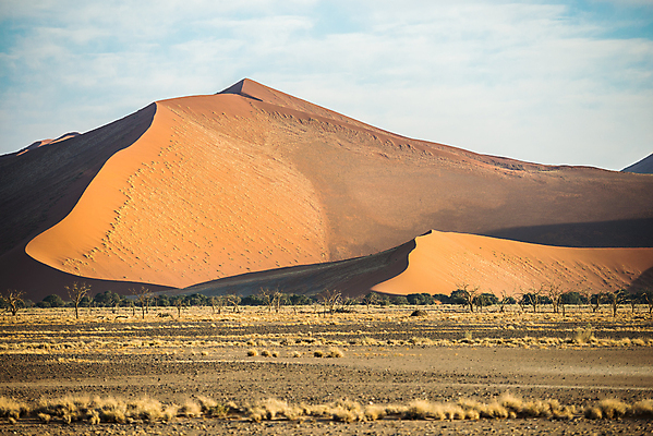 포토 JPG 해외이미지 식물 공원 모래 파도 여행 백그라운드 겨울 아프리카 자연 하늘 산 건조 풍경 사람없음 야외 가로 노란색 사막 플랫 큼 모래언덕 관목 언덕 질감 지역 나미비아 잔물결 흥미 카피스페이스 전경 해외포토 나무 계절 공공시설 나라 물결 바다 컬러 컨셉 공백 크기 생태계 남아프리카 파일형식 탑뷰 이미지허브