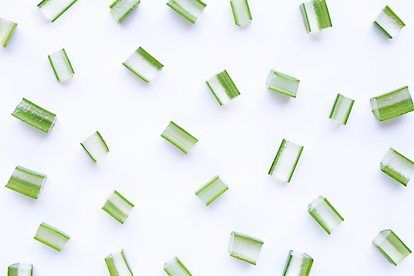 포토 JPG 해외이미지 스튜디오촬영 단면 실내 사람없음 흰배경 알로에 해외포토 식물 백그라운드 내부 흰색 파일형식 이미지허브