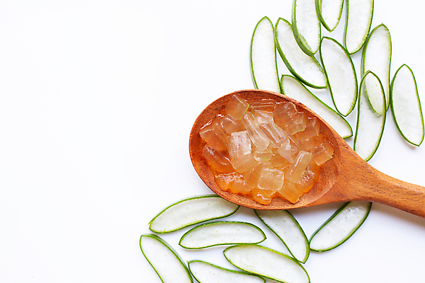 포토 JPG 해외이미지 스튜디오촬영 단면 실내 사람없음 하이앵글 흰배경 알로에 해외포토 식물 뷰포인트 백그라운드 내부 흰색 파일형식 이미지허브