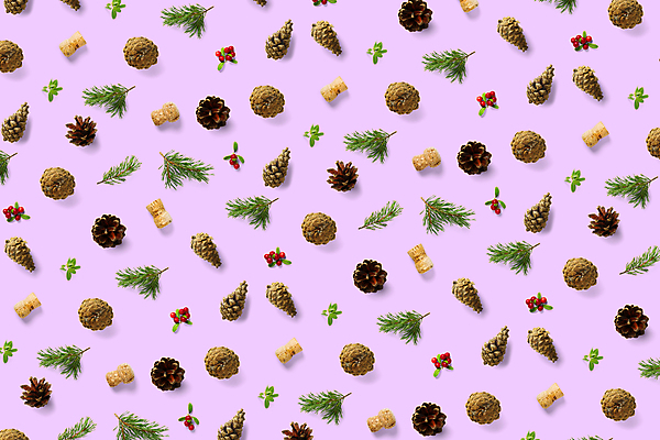 포토 JPG 해외이미지 식물 디자인 계절 종이 백그라운드 크리스마스 겨울 공 자연 벽지 휴가 새해 사람없음 장식 빨간색 초록색 축하 소나무 인쇄 오브젝트 솔방울 상록수 침엽수 전나무 원뿔 내추럴 고립 가문비나무 해외포토 도형 나무 기념일 컬러 컨셉 생태계 파일형식 이미지허브