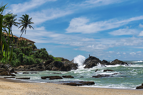 포토 JPG 해외이미지 나무 구름 실루엣 아시아 모래 파도 바다 여행 자연 하늘 휴가 손바닥 서기 풍경 사람없음 야외 초록색 물 여름 파란색 모래사장 햇빛 태양 숫자 맑음 침묵 흰색 만 뜨거움 서핑 휴양지 분무기 코코넛 내추럴 스리랑카 파라다이스 해외포토 자연요소 식물 문자 손 계절 나라 컬러 과일 모션 날씨 촬영기법 소리 장소 수상스포츠 생태계 파일형식 이미지허브