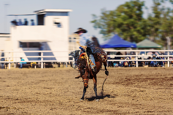 포토 JPG 해외이미지 동물 전통 스포츠 포즈 모션 사람없음 야외 달리기 달러 가축 경기장 목장 자신감 거친 승마 카우보이 호주 승차 위험 속도 먼지 안장 로데오 과속 라이더 블러 서쪽 어려움 오지 해외포토 감정 컨셉 돈 스포츠시설 오세아니아 방향 파일형식 이미지허브