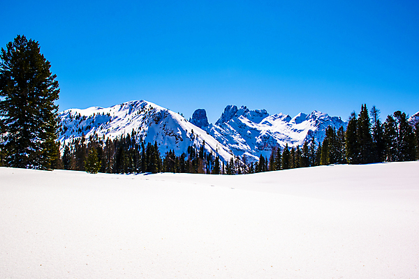 포토 JPG 해외이미지 나무 계절 유럽 여행 크리스마스 겨울 자연 하늘 날씨 휴가 스키 산 파노라마 풍경 사람없음 야외 파란색 환경 얼음 이탈리아 트래킹 하이킹 추위 흰색 소나무 정상 알프스 북쪽 산봉우리 절정 프리스타일 해외포토 자연요소 식물 기념일 나라 컬러 레저 겨울스포츠 촬영기법 방향 생태계 봉우리 파일형식 이미지허브