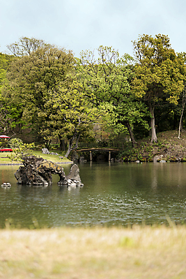 포토 JPG 해외이미지 나무 식물 구름 계절 공원 꽃잎 꽃 분홍색 섬 백그라운드 잎 자연 하늘 사람없음 야외 목재 파란색 컬러풀 정원 일본 봄 바위 흰색 나뭇가지 연못 신선 소나무 화려 도쿄 붓꽃 내추럴 창백 방법 해외포토 자연요소 공공시설 아시아 컬러 컨셉 재료 돌_바위 생태계 파일형식 이미지허브