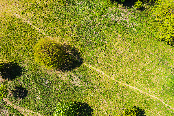 포토 JPG 해외이미지 나무 도로 길 여행 백그라운드 잎 밭 교통시설 자동차 자연 거리 안테나 3 풍경 사람없음 야외 초록색 여름 환경 봄 운전 시골 신선 고속도로 정상 숲 아스팔트 교차로 질감 러시아 드론 루트 해외포토 식물 계절 유럽 육상교통 컬러 교통 농업 통신 모션 시설 생태계 파일형식 이미지허브