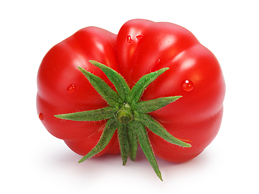 포토 JPG 해외이미지 음식 2 토마토 채소 과일 사람없음 빨간색 물방울 신선 재산 유기농 원예 숙성 해외포토 웰빙 컬러 취미 금융 파일형식 이미지허브