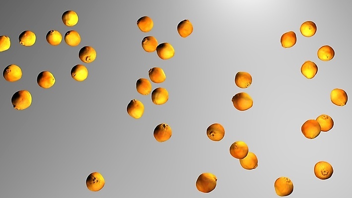 포토 JPG 해외이미지 백그라운드 다이어트 재료 귤 건강 사람없음 초록색 주스 신선 그룹 시장 달콤 유기농 질감 날것 내추럴 숙성 채식주의자 카피스페이스 해외포토 웰빙 음료 컬러 과일 공백 맛 채식 파일형식 이미지허브