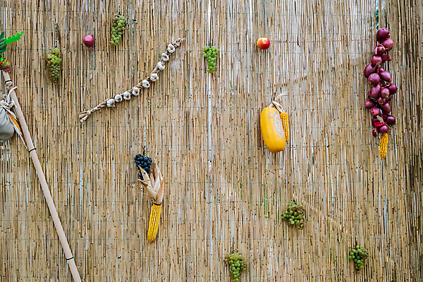 포토 JPG 해외이미지 식물 계절 음식 농업 과일 자연 호박 포도 양파 벽돌 디저트 마늘 옥수수 사람없음 야외 가로 빨간색 초록색 바구니 정원 보라색 수확 가을 시골 사과 상품 과수원 9월 포도나무 자두 10월 구성 숙성 정물화 해외포토 산업 컬러 채소 곡류 날짜 과일나무 그림 생태계 파일형식 이미지허브