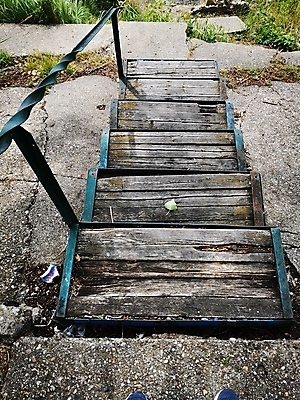 포토 JPG 해외이미지 식물 공원 얼굴 벽 백그라운드 밭 벤치 탁자 추상 벽돌 사람 앉기 사람없음 야외 건물 목재 옆모습 초록색 울타리 사무실 갈색 쌓기 계단 정원 고양이 방 닫기 질감 먼지 땅바닥 해외포토 나무 건축물 공공시설 뷰포인트 컬러 가구 무늬 농업 의자 비즈니스 재료 포유류 모션 바닥 신체부위 담장 반려동물 파일형식 이미지허브