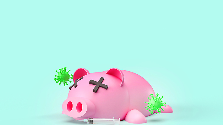 포토 JPG 해외이미지 동물 과학 사람없음 경제 3D 고통 저축 돼지 바이러스 보호 위험 전염병 해외포토 감정 컨셉 포유류 금융 질병 디지털합성 파일형식 이미지허브