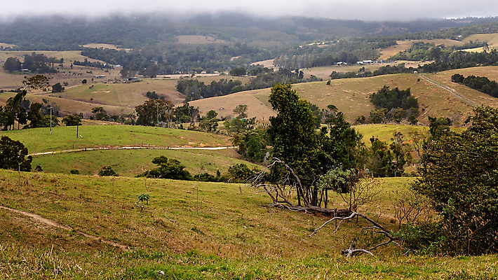포토 JPG 해외이미지 나무 동물 라이프스타일 산업 도로 농업 비즈니스 하늘 산 풍경 사람없음 경제 농장 환경 우유 시골 신선 소 호주 상품 방목 열대우림 언덕 상업 최초 내추럴 굴곡 밭일 수유 아열대 해외포토 식물 길 포유류 교통시설 유제품 생활 오세아니아 축산업 숲 파일형식 이미지허브