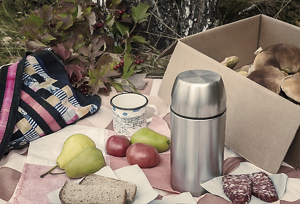 포토 JPG 해외이미지 나무 라이프스타일 커피 음식 빵 여행 토마토 과일 자연 건강 요리 사람없음 야외 컵 가로 소풍 걷기 버섯 하이킹 식탁보 소시지 아침식사 숲 수집 자작나무 해외포토 식물 식기 음료 채소 모션 레저 생활 야외활동 식사 가공식품 생태계 파일형식 이미지허브