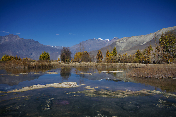포토 JPG 해외이미지 나무 호수 여행 백그라운드 자연 하늘 산 풍경 사람없음 파란색 반사 노란색 가을 네팔 해외포토 식물 계절 아시아 컬러 생태계 파일형식 이미지허브