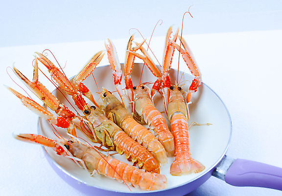 포토 JPG 해외이미지 조개 새우 사람없음 해외포토 어패류 갑각류 파일형식 이미지허브